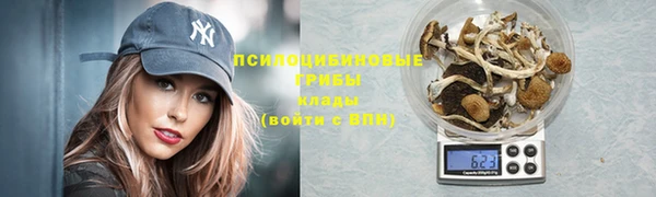 стаф Новозыбков