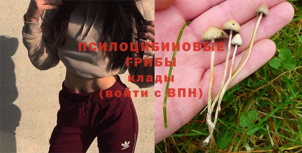 мескалин Новодвинск