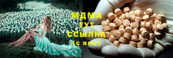 стаф Новозыбков