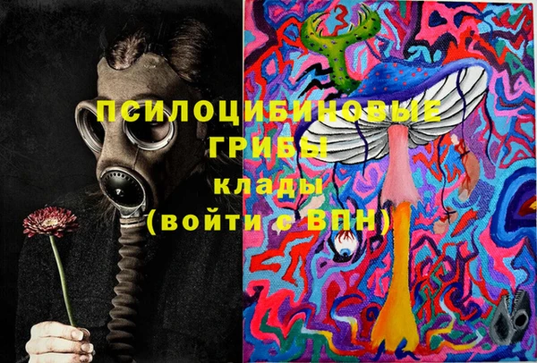 стаф Новозыбков