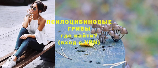 стаф Новозыбков