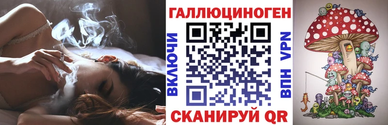 площадка официальный сайт  Янаул  Псилоцибиновые грибы Psilocybe 